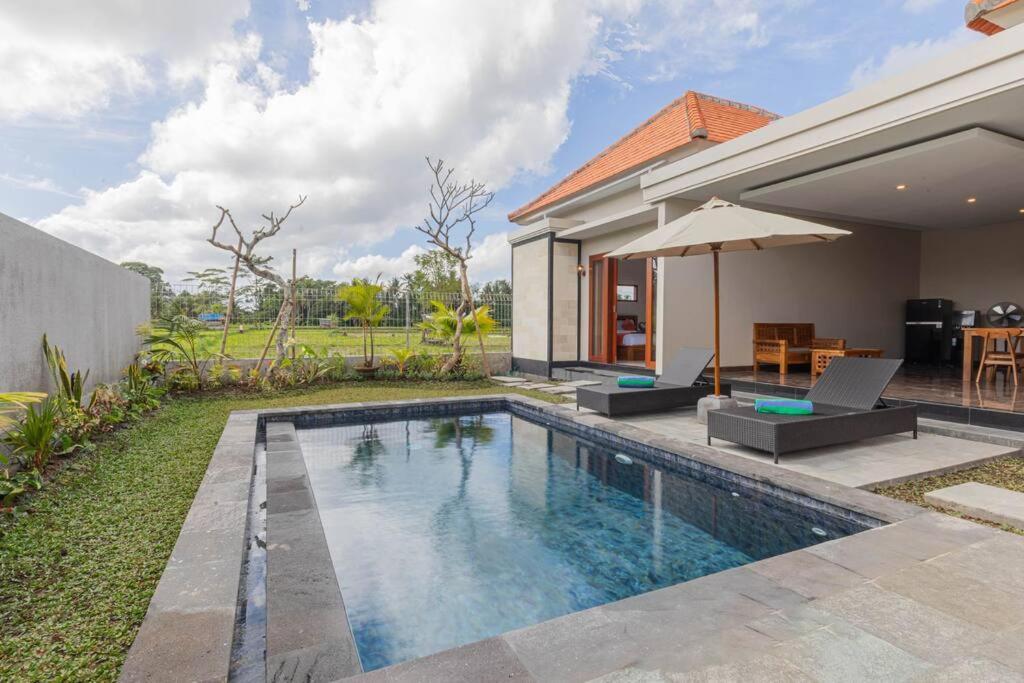 New Private Pool Villa - Villa Dhea Ubud Buitenkant foto